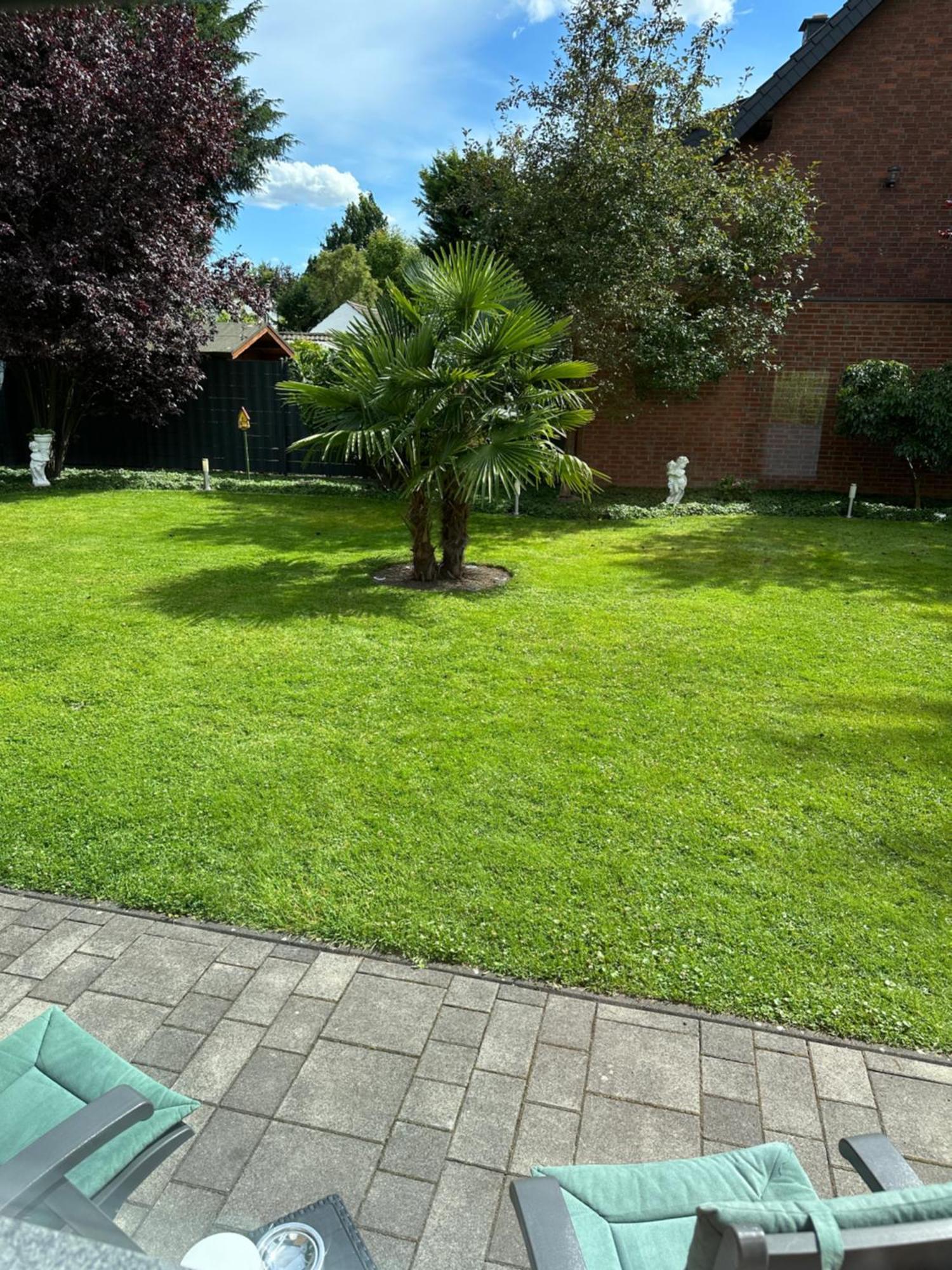Auszeit Apartment Duesseldorf Εξωτερικό φωτογραφία